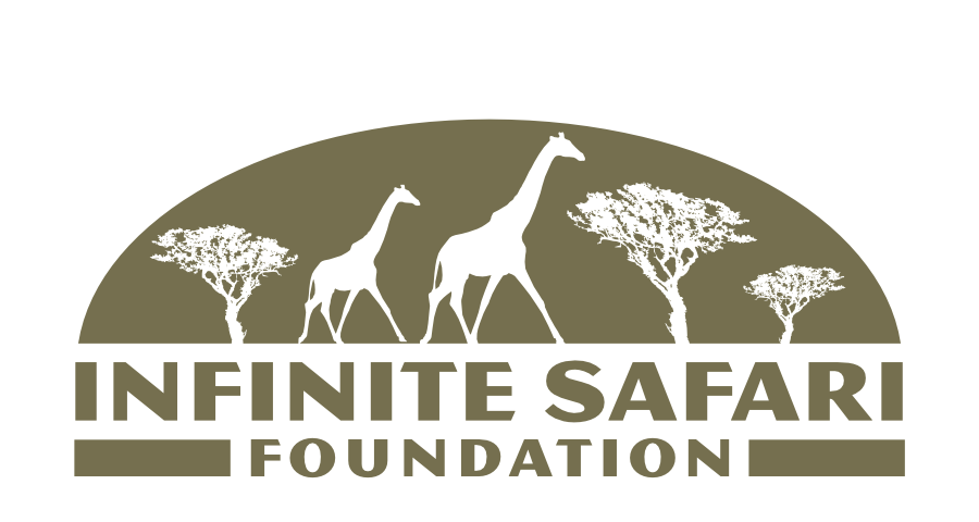 Infinite Safari Adventures
