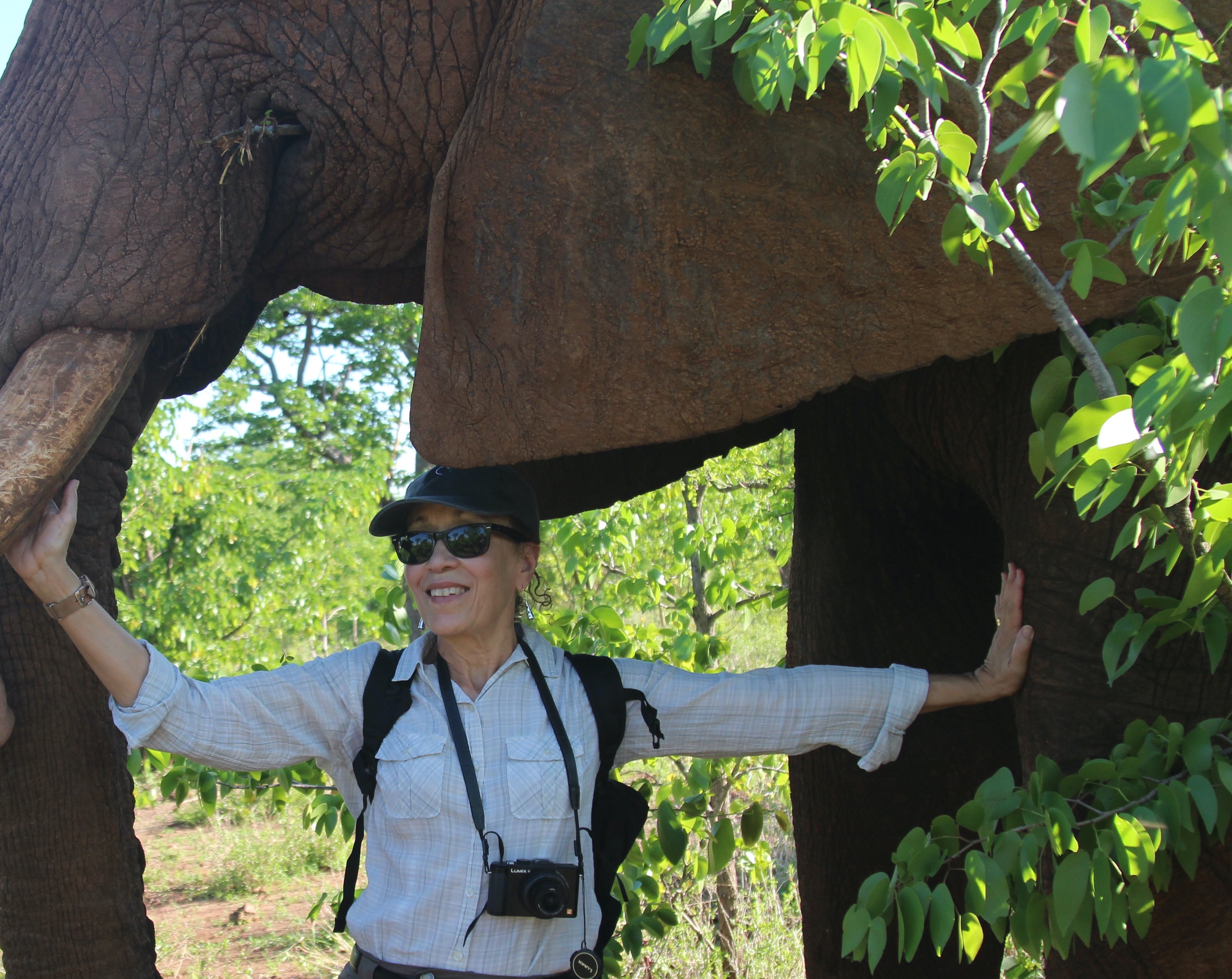 Diane Haithman Diane Haithman