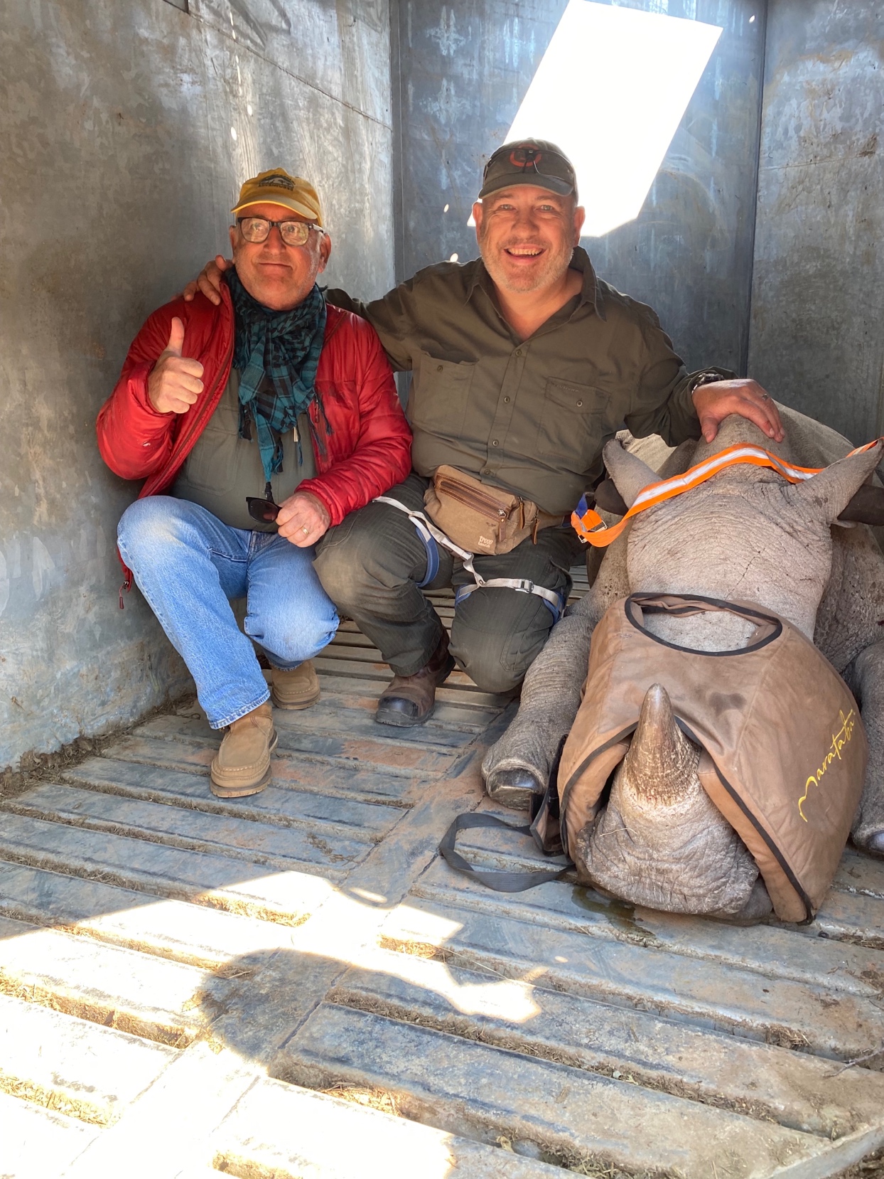 Saving The Survivors